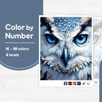 Close-Up Owl Face - Color by Number - Digital & Printable - 4 Levels