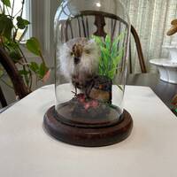 Vintage Faux Owl Taxidermy Diorama Glass Dome