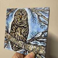 Winter Barred Owl Acrylic Painting: Bird Painting (5x5&rdquo;)