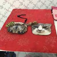 Animal Lovers Rising International Owl and the Pussycat Small Shoulder Bag With Detachable Decoratio