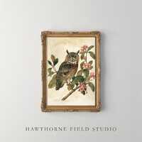 Vintage Owl Botanical Print &ndash; Hand-Colored Illustration, Cottagecore Wall Art (Digital Downloa