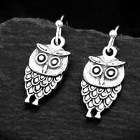 Owl Earrings, Bird Jewellery, Clip on or Pierced Options