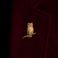 Owl Pin: Solid Brass Vintage Style Owl Brooch