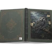 Moonlit Owl Lined Hardcover Journal | Pocket Notebook | Vintage Grimoire Diary