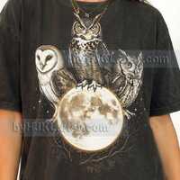 Vintage Owls On Moon Graphic Style Comfort Colors® Tshirt, Retro Animal Lover Night Sky Faded T-