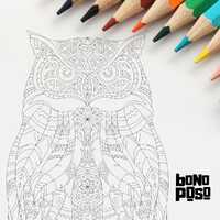 Majestic Owl Mandala Art Coloring Page &ndash; Intricate Design (Digital Download)