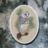 Barn Owl Cross Stitch Pattern Bird Download PDF