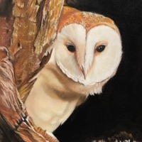Barn Owl Original framed painting in pastel
