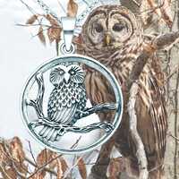 Night Owl Necklace, .925 Sterling Silver, Bird of Prey