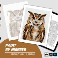 Owl Paint By Number Printable, Nature Wildlife Coloring Page (Digital Download)
