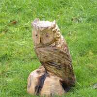 Chainsaw Carved Owl