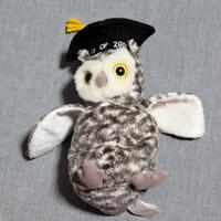 TY Beanie Babies Smart 2001 Owl Plush Toy: Retired Collectible