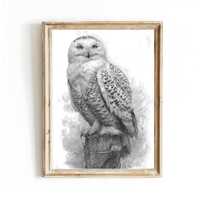 Snowy Owl Hedwig Inspired Pencil Drawing &ndash; Black and White Owl Wall Art, Minimalist Wildlife I