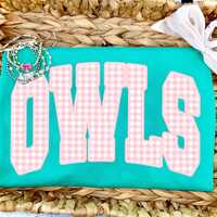 Owls PNG, Pink Gingham Owls Mascot, Preppy Varsity Owls, School Spirit Game Day Shirt Design, Girly 