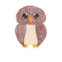 Owl PNG digital download file