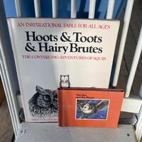 Vintage CHILDREN&rsquo;S Lot of 2 OWL Books Storybooks