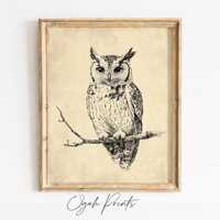 Vintage Owl Illustration Printable - Rustic Farmhouse Decor, Cottagecore Ink Drawing, Monochrome Owl