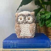 Seashell owl figure