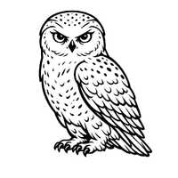 Owl SVG PNG Cut File, Cricut Design