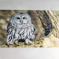 Barred Owl Puzzle 300 Piece Canadian Made Wildlife Jigsaw from Ontario Photography