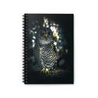 Barred Owl Illustration Spiral Notebook | Ruled Journal