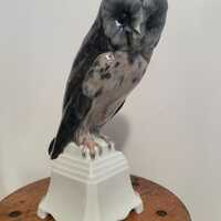 Rare Antique Rosenthal Porcelain Owl Model Figurine Circa 1917
