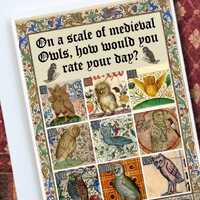 Funny &ldquo;Rate Your Day&rdquo; Card | Medieval Owls Meme | Gothic Dark Humour Mood Gift