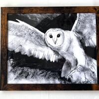 Framed Original Barn Owl Charcoal Drawing, 11&rdquo;x9&rdquo;, Fine Art, bird animal flying