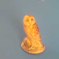 Wade owl
