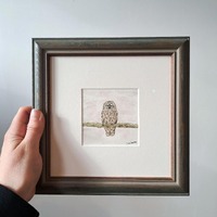 Tiny Barred Owl - ORIGINAL Artwork, Framed, Ready To Hang