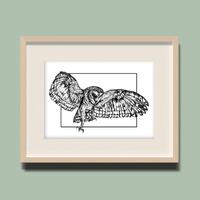 Barn Owl Illustration Print: Hand-Drawn Pen and Ink Wall Art