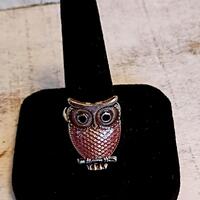 Sliver fidget,  spinning owl ring.