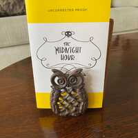 Pair of Owl Book Ends Iron