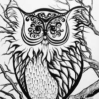 Elder Owl Original Art Adult Colouring Printable Download