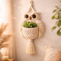 Macrame Owl Plant Hanger, Boho Owl Wall Planter, Hanging Plant Holder, Macrame Wall Decor, Owl Plant