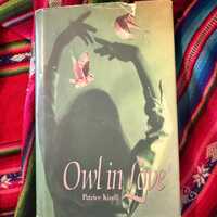 RARE VINTAGE ***SIGNED*** Owl in Love Patrice Kindl 1st Edition 1st Printing 1993 H.C.D.J.