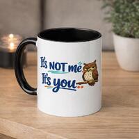 Funny Owl Mug &ndash; &ldquo;It&rsquo;s NOT Me It&rsquo;s You&rdquo; &ndash; Sarcastic Coffee Cup &n
