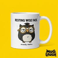 Resting Wise Face Owl Mug: Funny Clueless Coffee Cup Gift