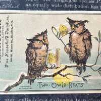 Victorian Trade Card Humorous Owl Couple Emerson & Loring Furniture Elmira NY 1882