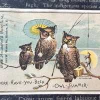 Victorian Trade Card Humorous Owl Family Emerson & Loring Furniture Elmira NY 1882