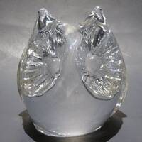 Signed Daum Owl Paperweight Mid Century Modern Crystal Glass France