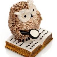 Owl Reading a Book
