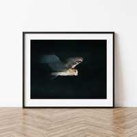 Flying Grass Owl Fine Art Photo Print, Minimalist Wildlife Wall Decor