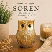 Soren Little Owl Figurine &ndash; Inner Light Encouragement Keepsake, Sympathy Decor