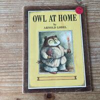 Owl At Home,Arnold Lobel, Scholastic Book Service, 1975, Vintage Kids Book