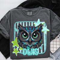 OWLS school Spirit PNG, Colorful Owls Mascot (Digital Download)