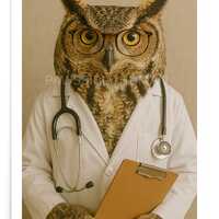 Doctor Owl Print | Funny Medical Office Wall Art (Unframed Poster)