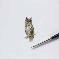 Striped Owl. Art print from original watercolor miniature painting (10x10 cm). Tiny art.