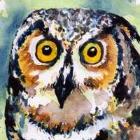 Owl watercolor original painting hand drawn and painted