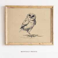 Minimalist Owl Sketchy Ink Art - Vintage Style Pen and Ink Drawing, Cute Rustic Farmhouse Decor, Pri